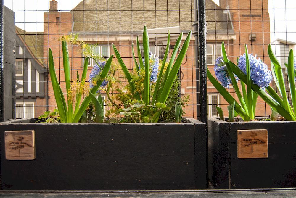 The Dictionary Hostel, Shoreditch, Ostello Londra