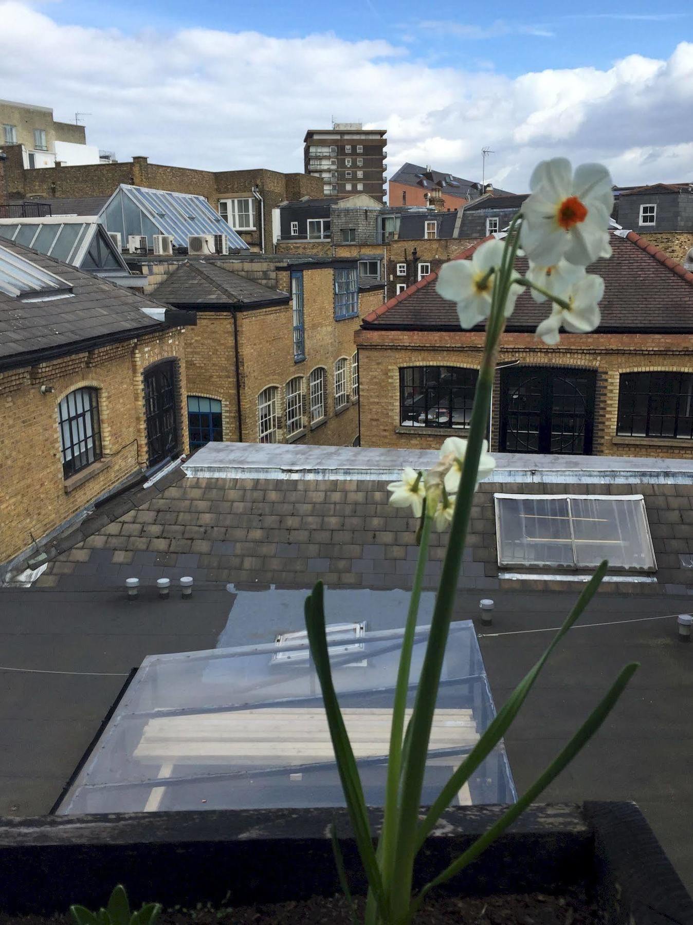 The Dictionary Hostel, Shoreditch, Ostello Londra
